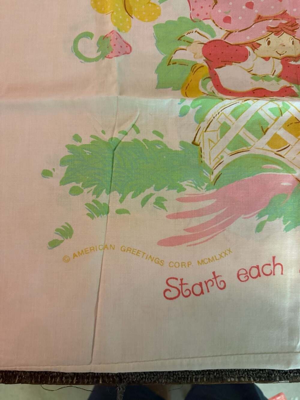Vintage Strawberry Shortcake Pillow Case Set of 2 - Picture 6 of 7
